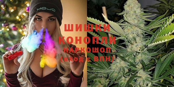 амф Протвино