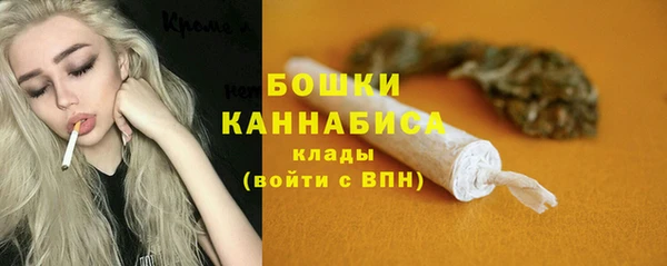молекула духа Приозерск